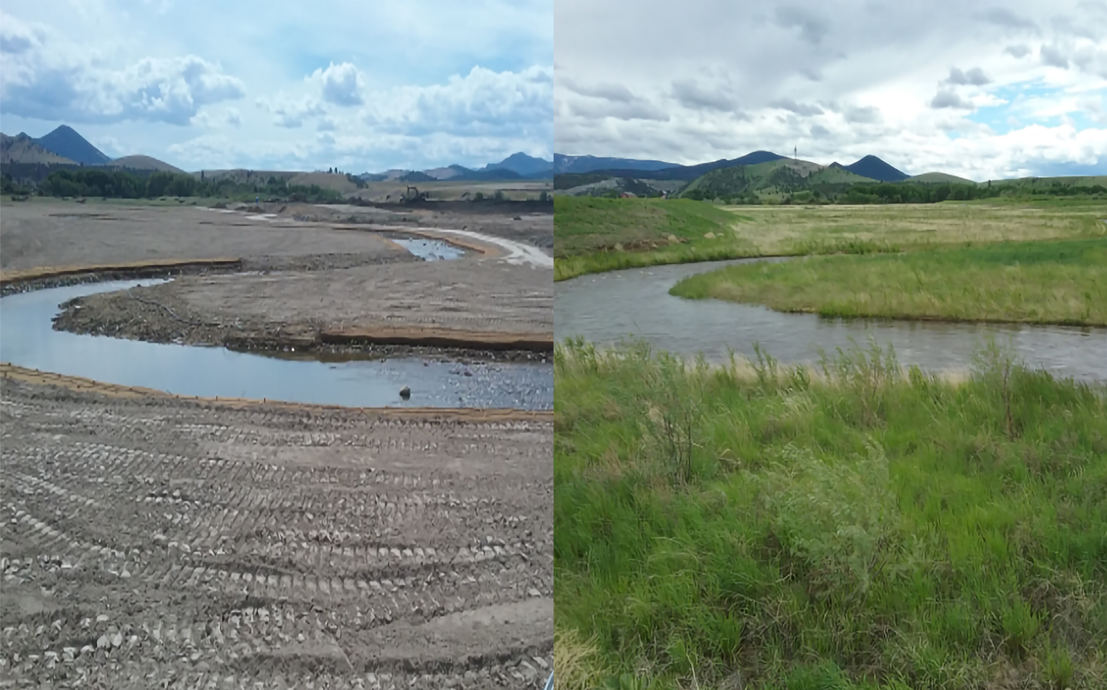 Biosol for Streambank Stabilization