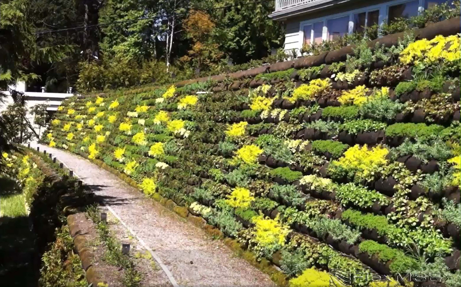 Flex MSE Vegetated Retaining Wall