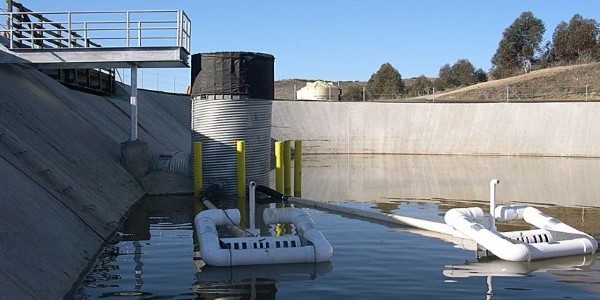 Faircloth Skimmers