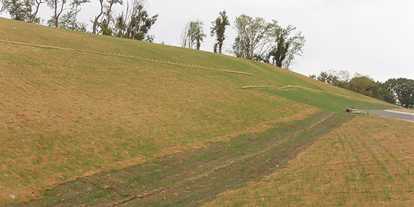 Extended Term Erosion Control Blankets